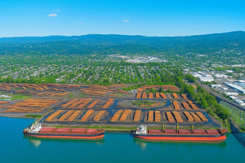 Best Tub To Shower Conversion pros in Longview, TX