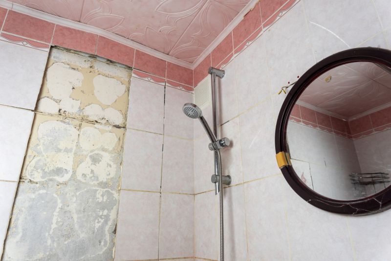 Top Shower Remodeling Companies in Hawkins, TX